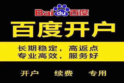 SEM代理案例：从零到一，见证品牌崛起
